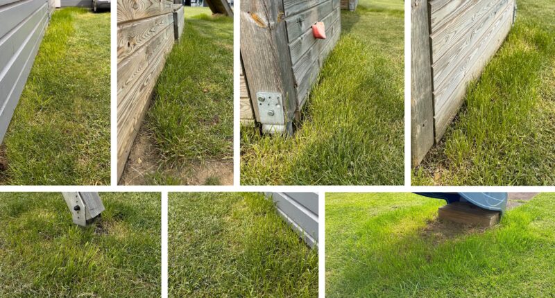 ECOVACS GOAT A1600 RTK 80 kantenschnitt 800x430 - Test - ECOVACS GOAT A1600 RTK - Mähroboter ohne Begrenzungskabel